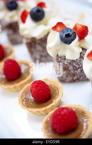 Mini-Zigeuner-Törtchen garniert mit Himbeeren und Kuchen mit Sahne, Heidelbeeren und Erdbeeren Scheiben gekrönt. Stockfoto