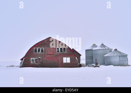 Eine alte rote Scheune auf einem Bauernhof im ländlichen Alberta mit Stahl Getreidelagerung wirft auf einem weißen Wintertag in ländlichen Alberta, Kanada. Stockfoto