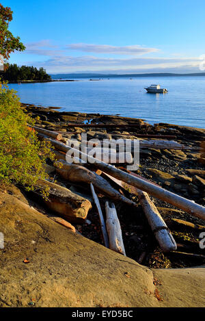 Eine vertikale Landschaftsbild Treibholz entlang der felsigen Küste in der Nähe von Yellow Point auf Vancouver Island b.c. Stockfoto