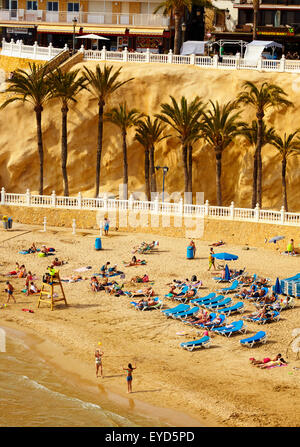 Menschen am Weststrand. Benidorm. Alicante. Valencia Community. Spanien Stockfoto