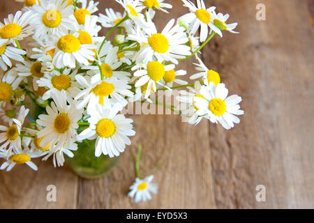 Margeriten Strauß über rustikalen hölzernen Hintergrund, Textur Stockfoto