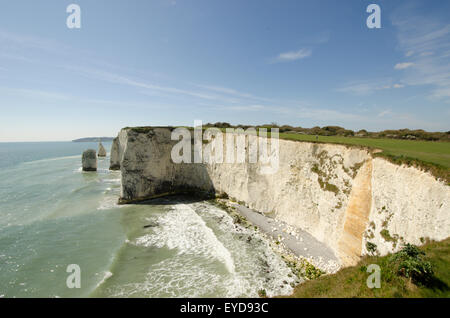 White chalk cliffs near Old Harry Rock, Studland, Dorset, UK. April. View to south-west. Stockfoto