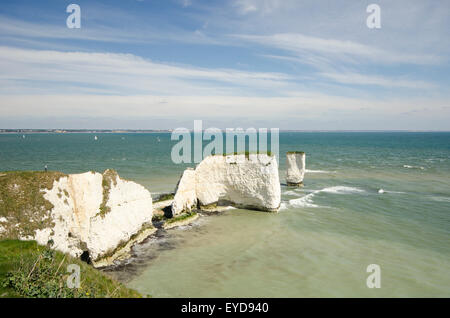 Weißen Kreidefelsen. Alten Harry Rock, Studland, Dorset, UK. April. Blick nach Nordosten. Stockfoto