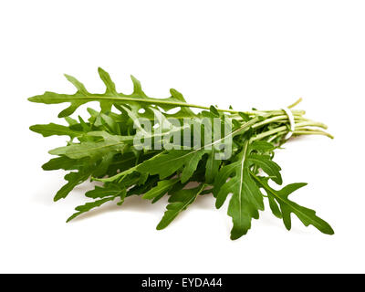 Handvoll Rucola isoliert auf weiss Stockfoto