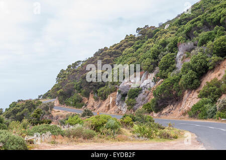 Straße zum Cape Point Abschnitt des Table Mountain National Park in Cape Town, Südafrika. Stockfoto