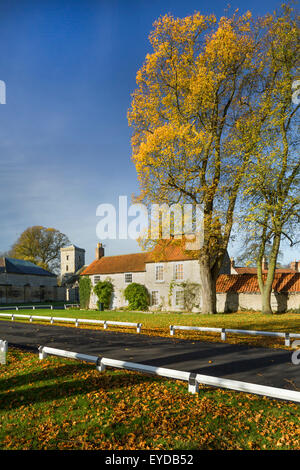 Hovingham, malerischen North Yorkshire, Oktober 2014. Stockfoto