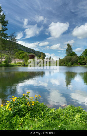 Kilnsey Forelle Bauernhof und Land Park in Wharfedale, The Yorkshire Dales, Juni 2015 Stockfoto