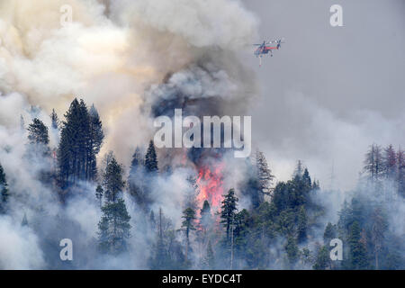 26. Juli 2015 - Oakhurst/North Fork, CA, fliegt USA - ein Helitanker über eine Gruppe von Bäumen Abfackeln am Feuer Willow Sonntag in der Sierra National Forest. Das Willow-Feuer brennt in der Sierra National Forest Sonntag, 26. Juli 2015. Am Nachmittag das Feuer brannte ca. 1.500 Hektar und war 5 % enthalten. Einige Straßen wurden gesperrt und Evakuierungen in Kraft waren, als 450 Strukturen bedroht waren. Das Feuer brannte in Willow Canyon. © Stuart Palley/ZUMA Draht/Alamy Live-Nachrichten Stockfoto