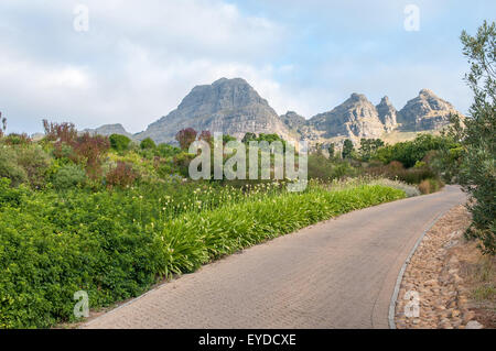 Blick auf einen Garten in der Nähe von Stellenbosch in der Provinz Westkap in Südafrika. Die Helderberg-Berg ist im Hintergrund Stockfoto