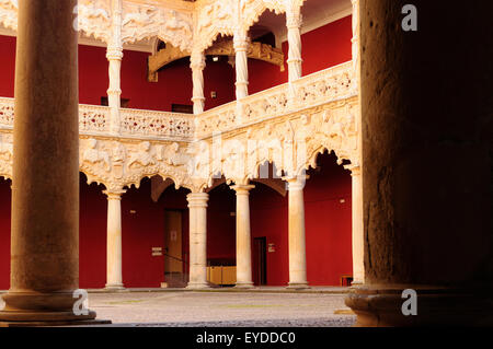 Palacio del Infantado. Guadalajara, Spanien. Stockfoto