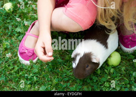 Kind Mädchen entspannen und spielen mit ihren Meerschweinchen draußen am grünen Rasen, Garten, Sommer, Landschaft, Tiere, Haustiere Stockfoto
