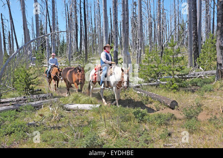 Horsebaack Reiter auf dem Pacific Crest Trail in der Nähe von Schwestern in den Cascade Mountains von Zentral-Oregon. Stockfoto