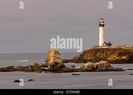 Taube zeigen Leuchtturm auf dem Pacific Coast Highway 1, Nord-Kalifornien. Stockfoto