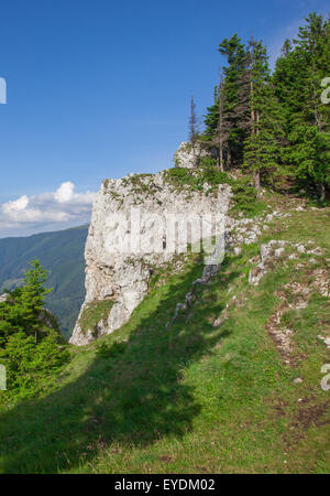 Landschaft in Rarau Bergen im Sommer, Rumänien. Stockfoto