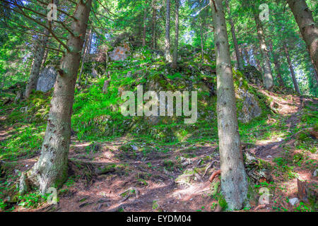 Landschaft im Wald, Rarau Berge im Sommer, Rumänien. Stockfoto