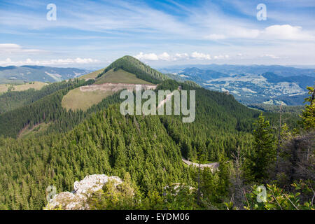 Landschaft der TransRarau Road in Rarau Bergen im Sommer, Rumänien. Stockfoto