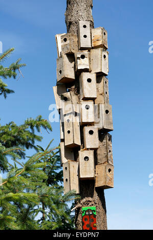 Eine Ansammlung von unlackierten Holz Vogelhäuschen auf ein toter Baum, Lebensraum Insel, Vancouver, BC, Kanada Stockfoto