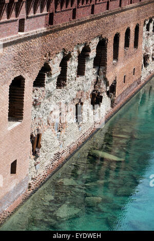 Ziegel bröckeln ab Fort Jefferson in einem Wassergraben, Dry-Tortugas-Nationalpark, Florida, Vereinigte Staaten von Amerika Stockfoto