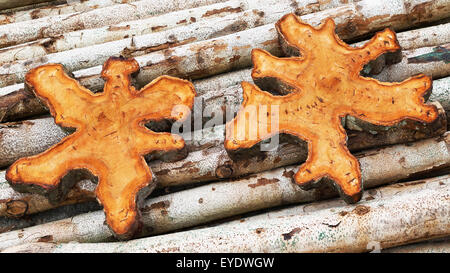 Teak Holz stumpf Abschnitte mit texturierten Oberfläche liegen auf kleinen Teak Stammholz - leer für Tabellen und anderen Hartholz-Produktion Stockfoto