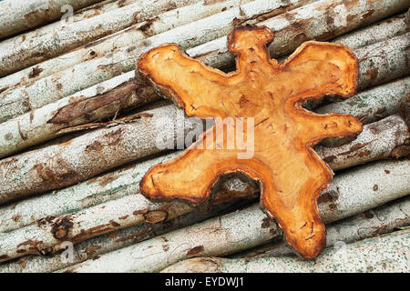 Teak Holz stumpf Abschnitt mit texturierten Oberfläche liegen auf kleinen Teak Stammholz - Rohling für Tisch und anderen Hartholz-Produktion Stockfoto