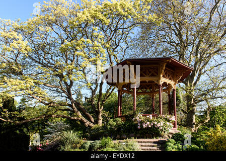 Botanischer Garten in Visby, Insel Gotland, Schweden Stockfoto