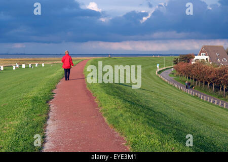 Deichwanderung, Nordseeküsten, Basel-Landschaft Stockfoto