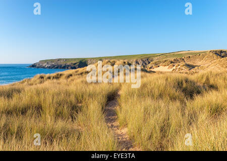 Pfad durch die Sanddünen in Holywell Bay in der Nähe von Newquay in Cornwall Stockfoto