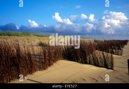 Nordseeduene; Nordsee; Sehen; Meer; Sand; Stockfoto