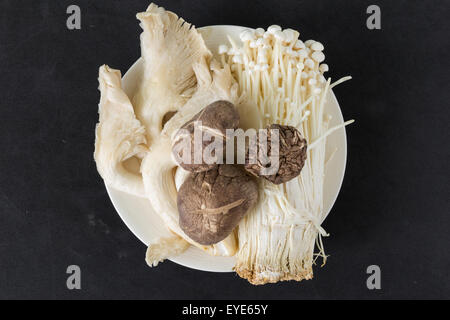 Verschiedene Arten von Pilzen in einer Platte auf schwarzem Hintergrund. Stockfoto