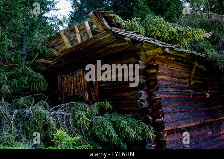 Eingestürzten Dach eines Landwirts Scheune von gefallenen Kiefern nach Sommergewittern in einem Wald oberhalb von Badia-Abtei in der Dolomiten Region von Süd-Tirol, Italien. Stockfoto