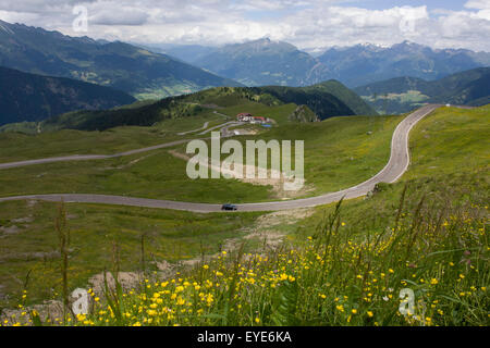 Wilde Blumen wachsen am Straßenrand im oberen Bereich der Jaufenpass, der höchste Punkt auf 2.094 Meter auf der Straße zwischen Meran-Meran und Sterzing-Sterzing in Südtirol, Italien. Stockfoto