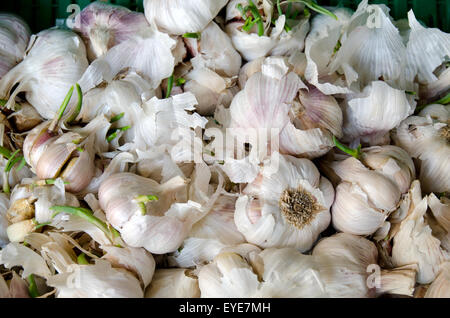 Viel Knoblauch Zwiebeln in einem Markt zu verkaufen Stockfoto