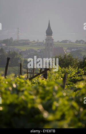 Weinberge in der Weinbau-Region südwestlich von Bozen, Südtirol, Norditalien. Stockfoto