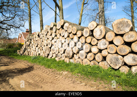 Gestapelte Holz aufgeschichtet, Sutton, Suffolk, England, UK Stockfoto