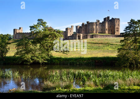 Alnwich Schloss und Fluss Aln an einem Sommer Abend Alnwick Northumberland Englands Stockfoto