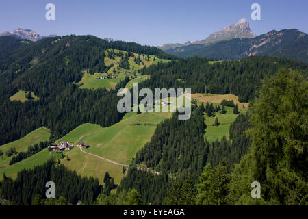 Dolomiten Hügellandschaft in der Nähe von Wengen in Alta Badia, Süd-Tirol, Italien. Stockfoto