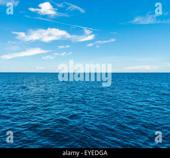 Koh Tao Schnorcheln - eine paradiesische Insel in Thailand. Stockfoto