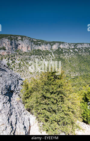 Die Schlucht des Flusses Ardèche. Gorges de l'Ardèche. Frankreich. Stockfoto