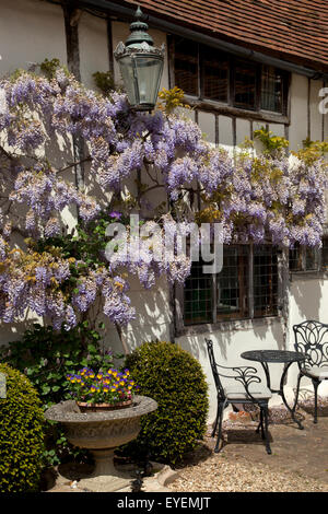 Haus im englischen Tudor Stil mit Glyzinien Stockfoto