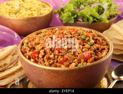 INDISCHE LAMM KEEMA Stockfoto