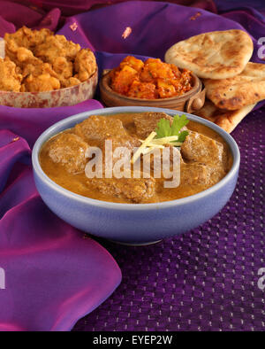 INDISCHE LAMM MADRAS CURRY TIERMEHL Stockfoto