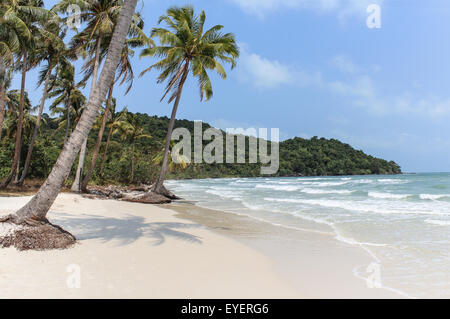 weißer Sandstrand, Palmen und blauer Himmel Stockfoto