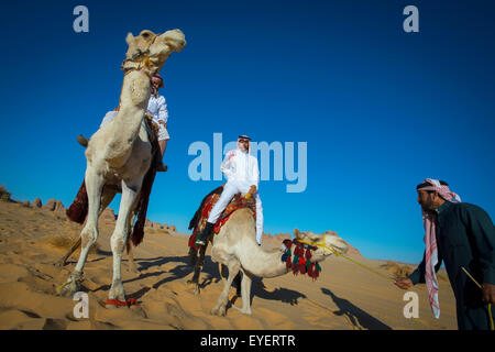 Kamele reiten; Madain Saleh, Saudi-Arabien Stockfoto