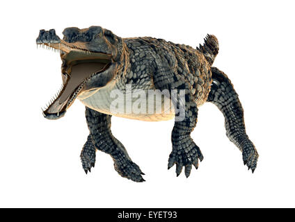 3D digital Render ein Gangesgavial oder Gavialis Gangeticus Gavial oder fischfressende Krokodil isoliert auf weißem Hintergrund Stockfoto