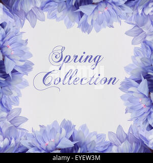 Frühjahrs-Kollektion - Blumendekoration und handschriftlichen text Stockfoto