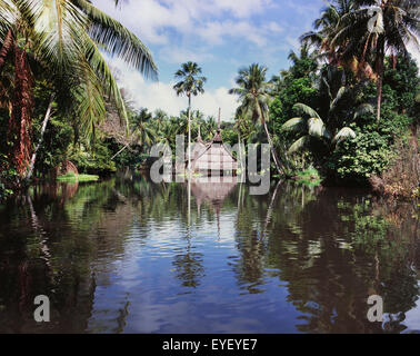 Haus am Fluss Sepik Spirit; East Sepik, Papua New Guinea Stockfoto