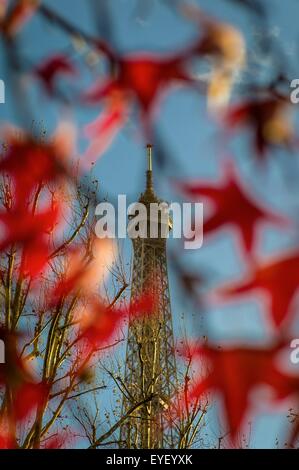 Der Eiffelturm, Paris im Herbst. 25.11.2012 - Sylvain Leser Stockfoto