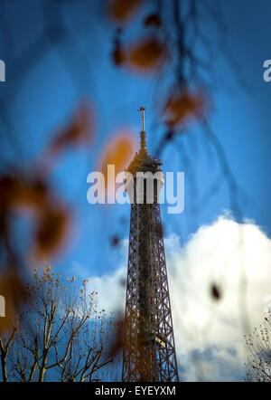 Der Eiffelturm, Paris im Herbst. 25.11.2012 - Sylvain Leser Stockfoto