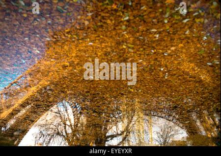 Der Eiffelturm, Paris im Herbst. 25.11.2012 - Sylvain Leser Stockfoto