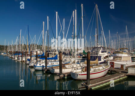 Yachten und Boote, die an Liegeplätzen in Sausalito Marina, Kalifornien, vertäut sind Stockfoto